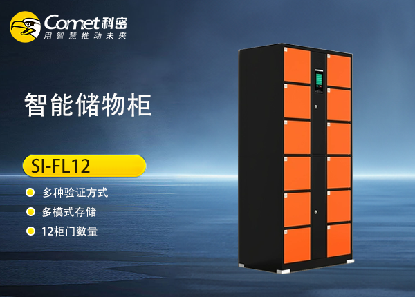 SI-FL12人脸储物柜